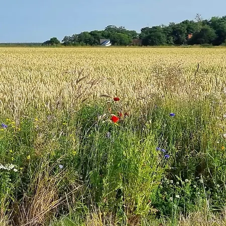 Seaside Escape With - By Traum Nyaraló Jerup