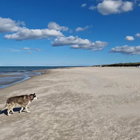 Seaside Escape With - By Traum Nyaraló *