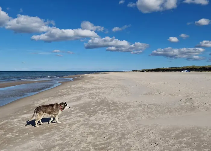 Seaside Escape With - By Traum بيت للعطل *
